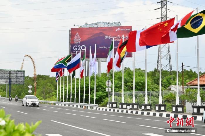 印尼巴厘島道路上G20成員國的國旗及歡迎海報。 中新社記者 李志華 攝